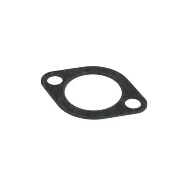 SUZUKI Pakning for anode