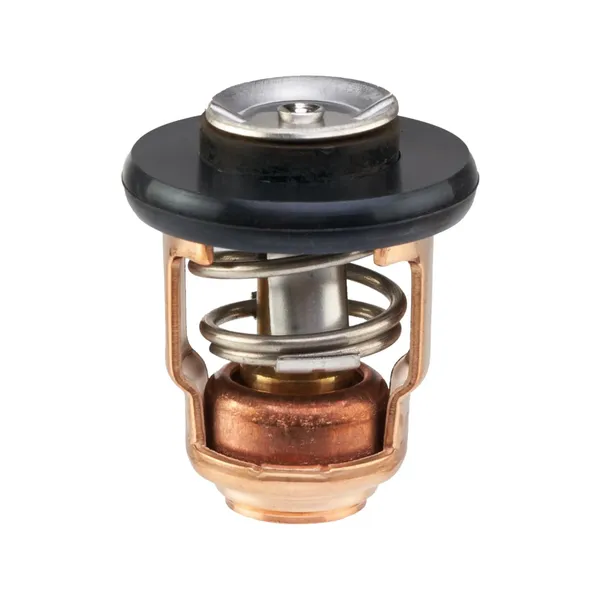 Honda Termostat BF115-BF350