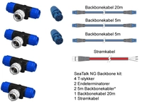 Raymarine STNG Backbone kit