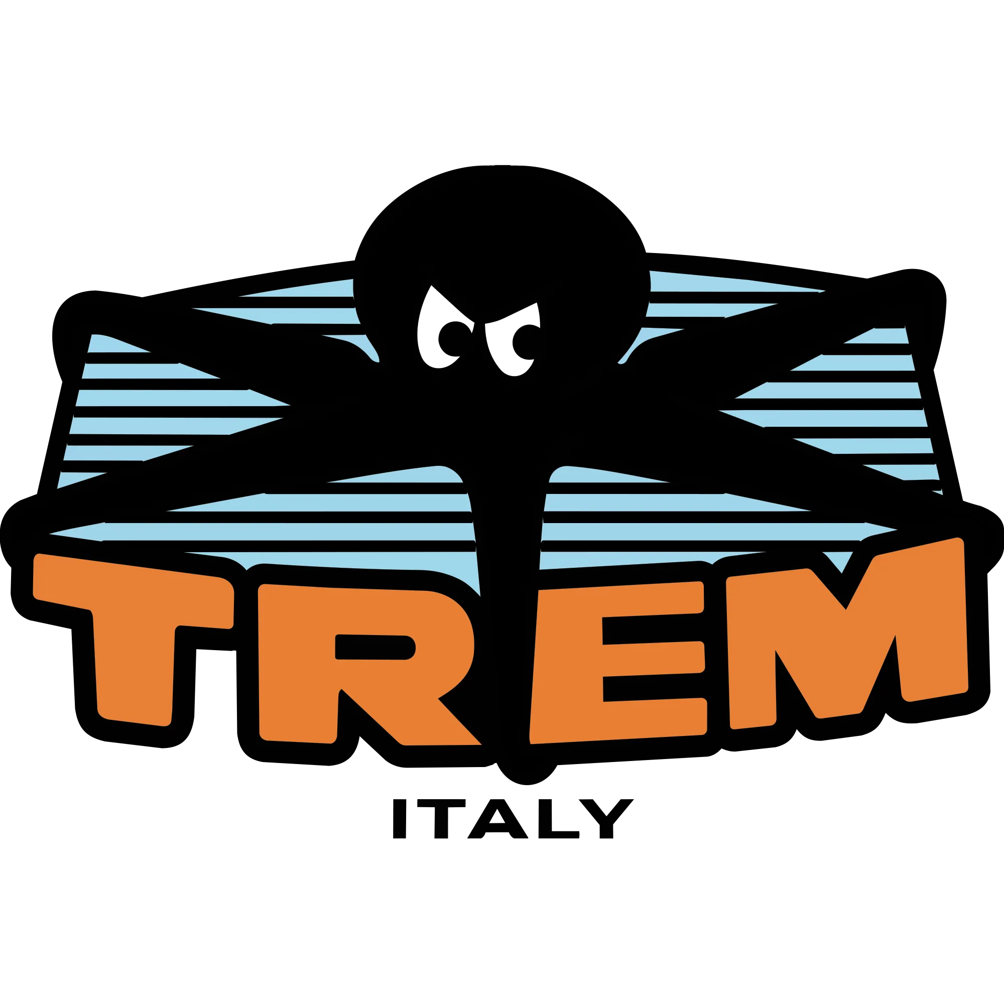 Trem srl