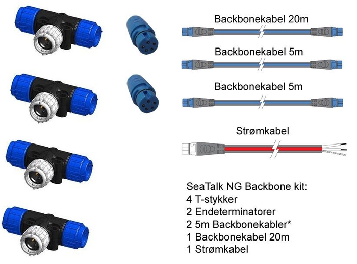 Raymarine STNG Backbone kit