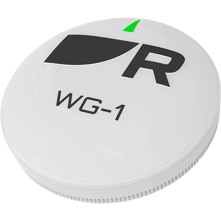 Raymarine RCU-1 trådløs fjernkontroll for autopilot