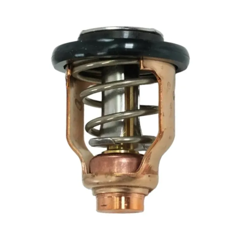 SUZUKI Termostat DF70A-300