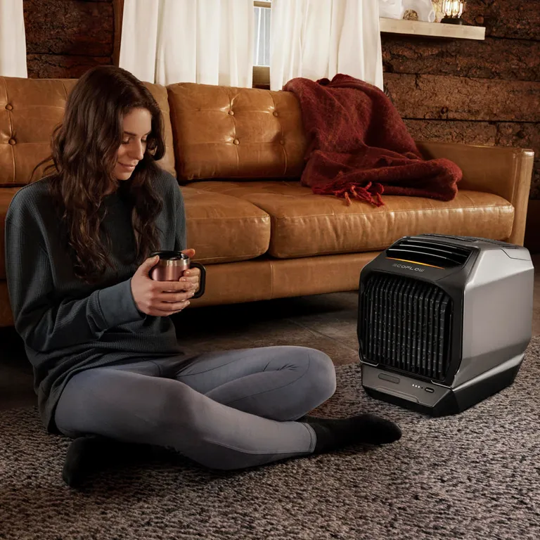 EcoFlow Wave 2 kompakt bærbar aircondition