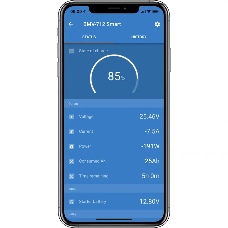 Victron SmartShunt 1000A batterimonitor med Bluetooth