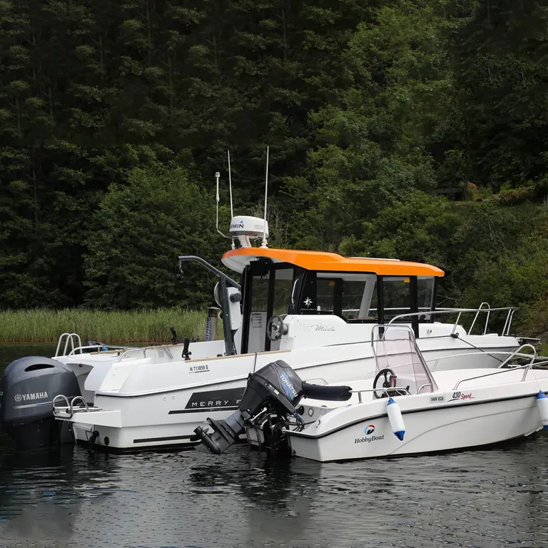 Smartliner Pro 900 teinehaler 135kg 12V