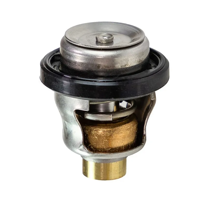 SUZUKI Termostat DF9,9-DF70
