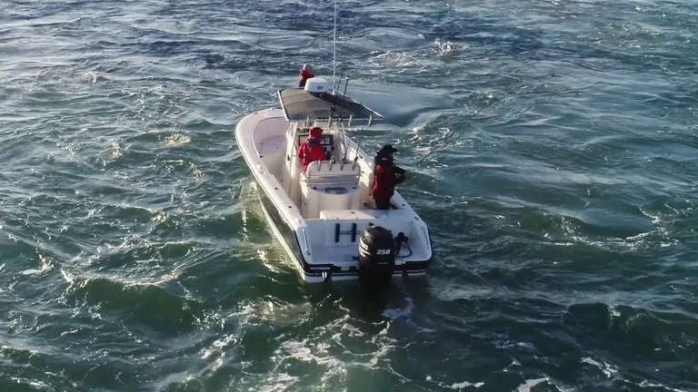 Lowrance HDS-12 LIVE kartplotter uten svinger