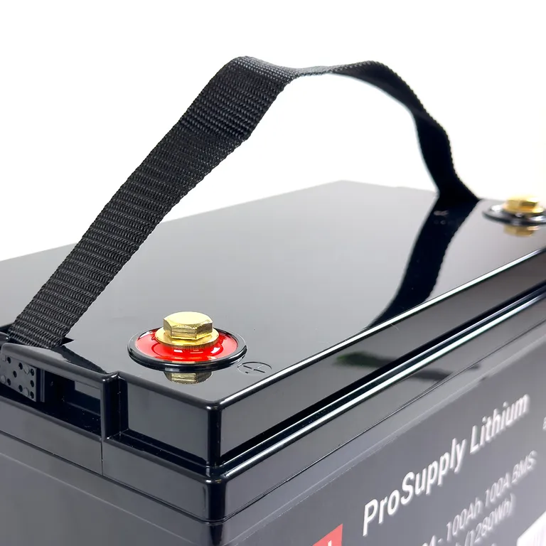 ProSupply Lithium 150Ah 100A BMS