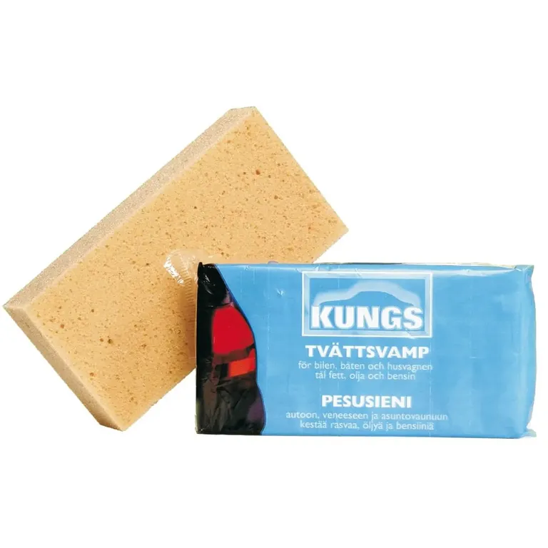 Kungs vaskesvamp