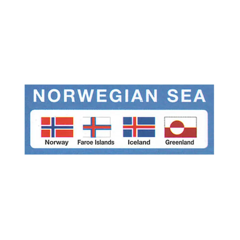 Gjesteflagg Norskehavet 30x19 cm