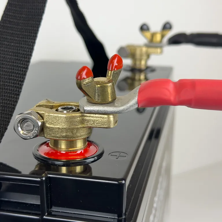 Polsett 8mm til 100A og større Litium og AGM-batterier