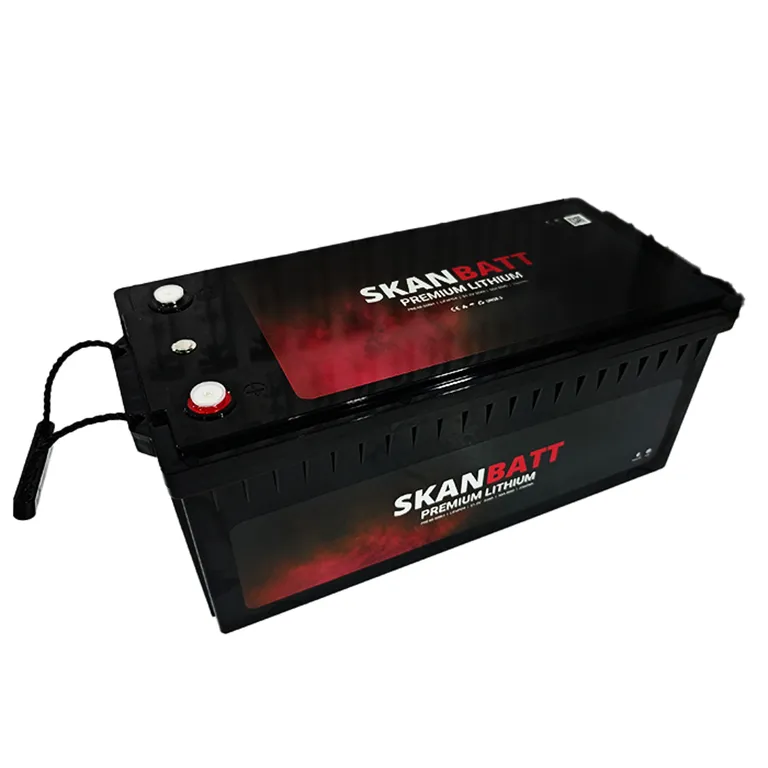 Skanbatt Premium Lithium 48V 50Ah 50A BMS Bluetooth Heat